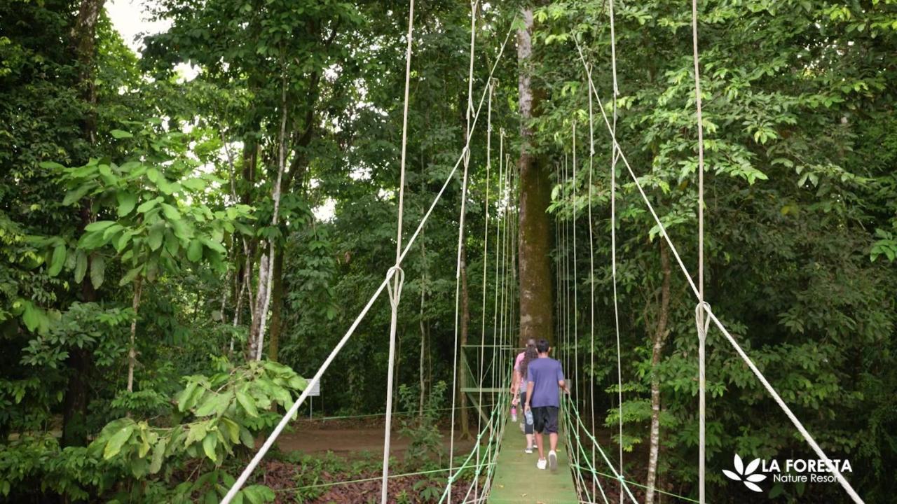 La Foresta Nature Resort Quepos Extérieur photo