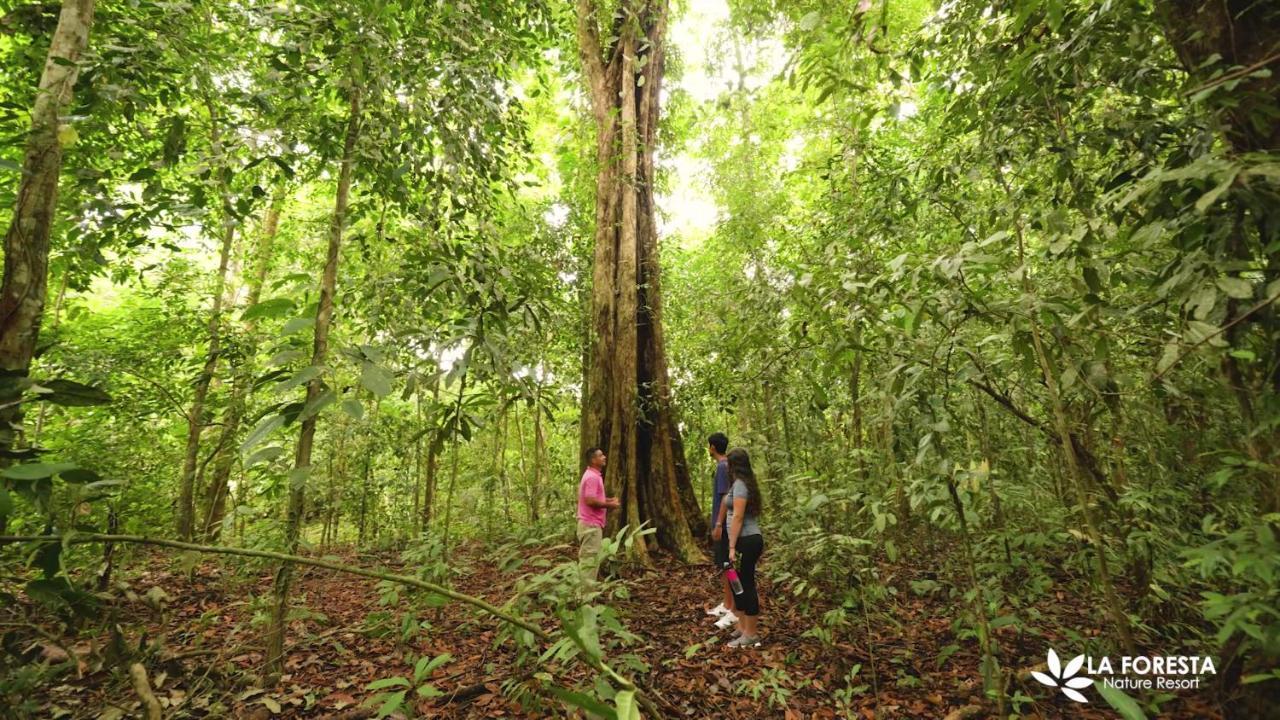La Foresta Nature Resort Quepos Extérieur photo