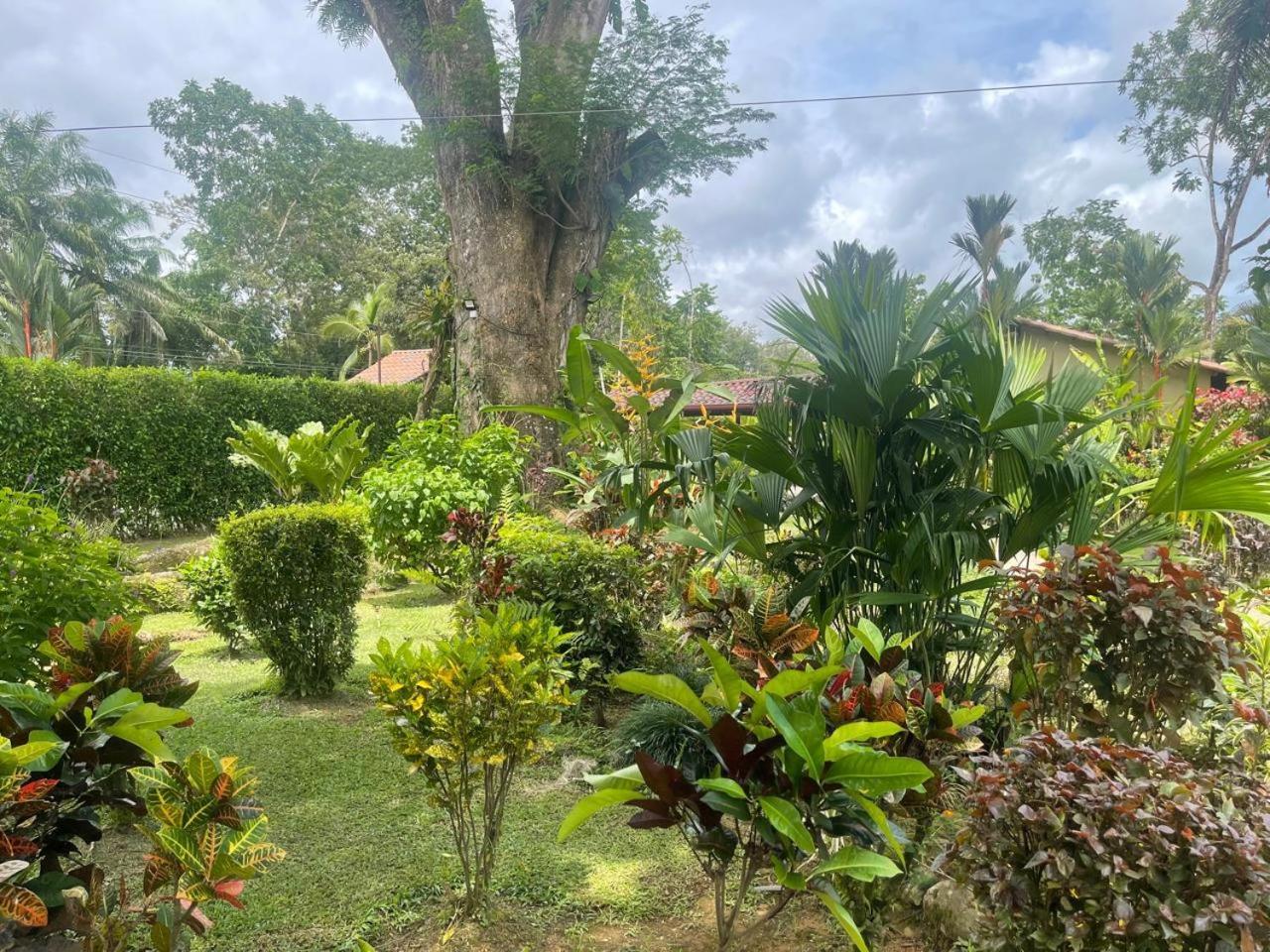 La Foresta Nature Resort Quepos Extérieur photo
