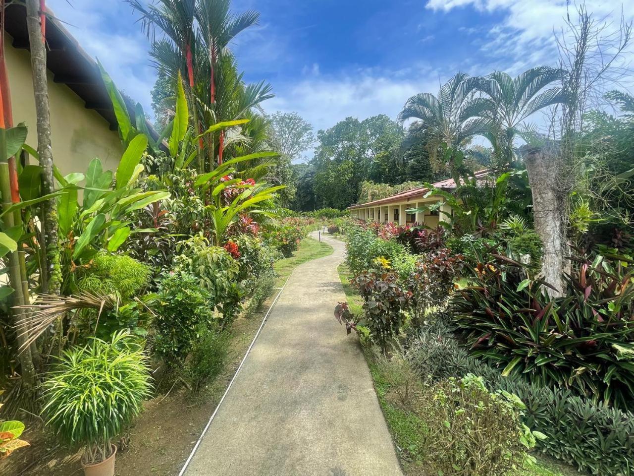 La Foresta Nature Resort Quepos Extérieur photo