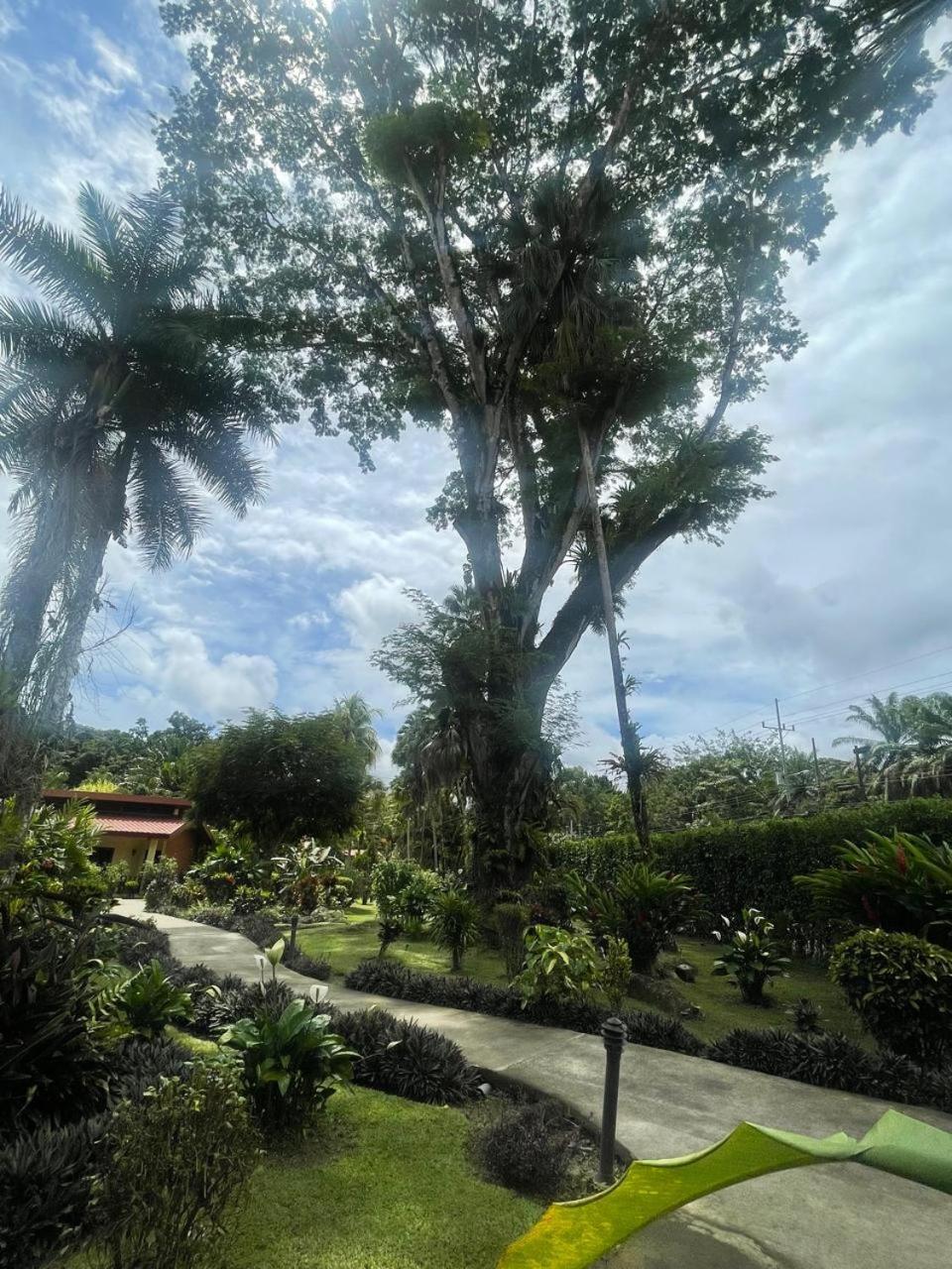 La Foresta Nature Resort Quepos Extérieur photo